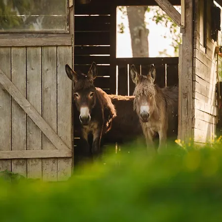 Lakeside Glamping Tents Mazijev Gric Luksuzni šator Gradisce pri Lukovici