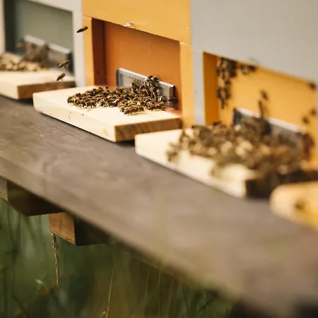 Luxuszelt Lakeside Glamping Tents Mazijev Gric *