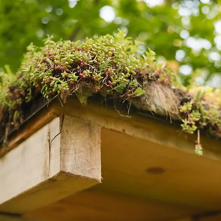 Luksuzni šator Lakeside Glamping Tents Mazijev Gric