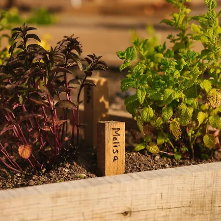 Luksuzni šator Lakeside Glamping Tents Mazijev Gric