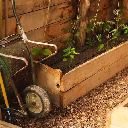 Lakeside Glamping Tents Mazijev Gric Luksuzni šator *