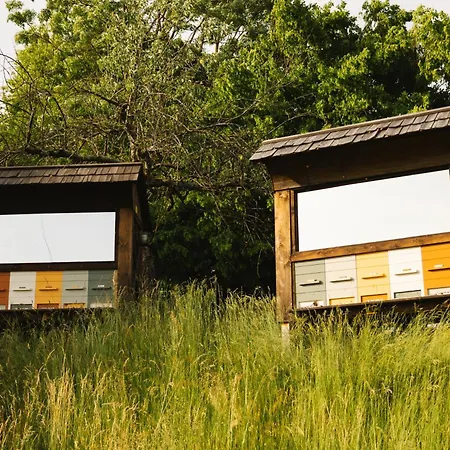 Lakeside Glamping Tents Mazijev Gric Campismo de Luxo