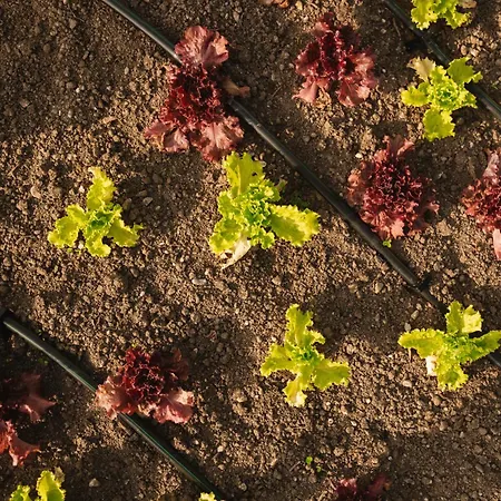Luksuzni šator Lakeside Glamping Tents Mazijev Gric Gradisce pri Lukovici